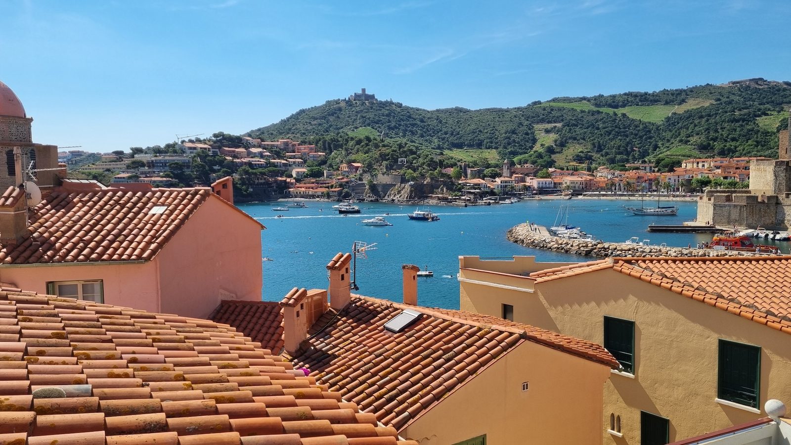 Vue sur la baie de Collioure depuis la terrasse, au-dessus des toits de tuiles
